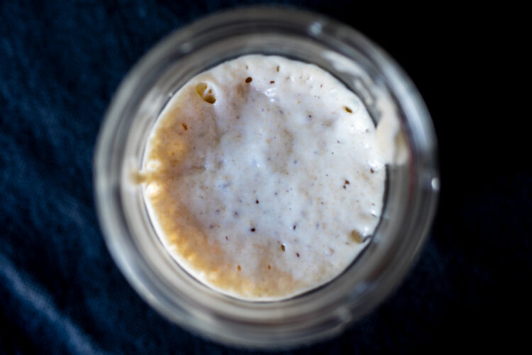 Using Sourdough Starter to Break Down Gluten in Bread